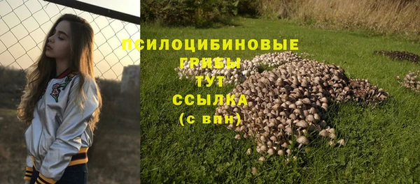 таблы Аркадак