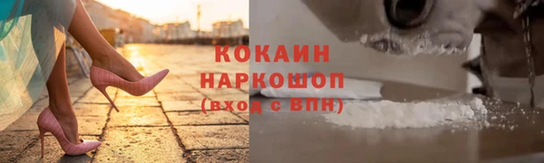 крисы Арсеньев