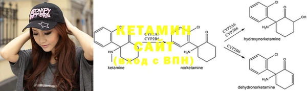 ПСИЛОЦИБИНОВЫЕ ГРИБЫ Каменка